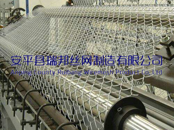 镀锌丝勾花网 - 安平县瑞邦丝网制造有限公司图片4