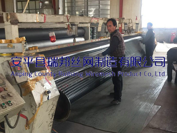 矿用塑料网 - 安平县瑞邦丝网制造有限公司图片2